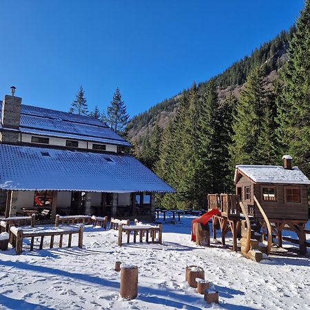 Cabana Conacul Ursului Cumpăna エクステリア 写真