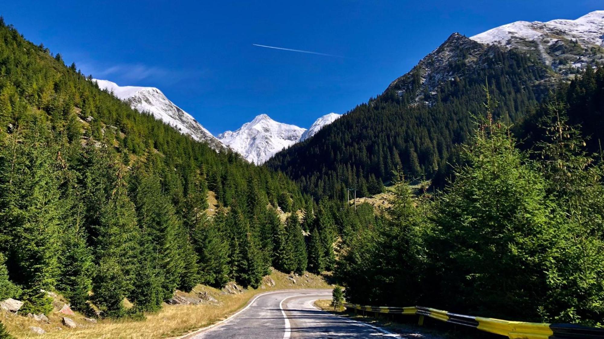 Cabana Conacul Ursului Cumpăna エクステリア 写真