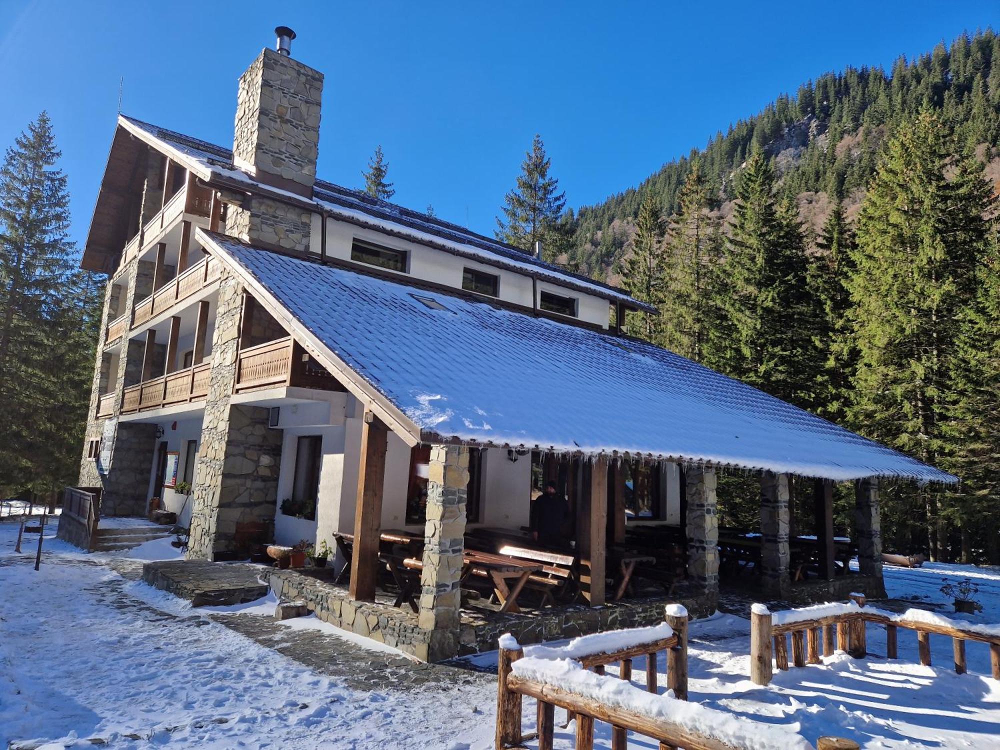 Cabana Conacul Ursului Cumpăna エクステリア 写真