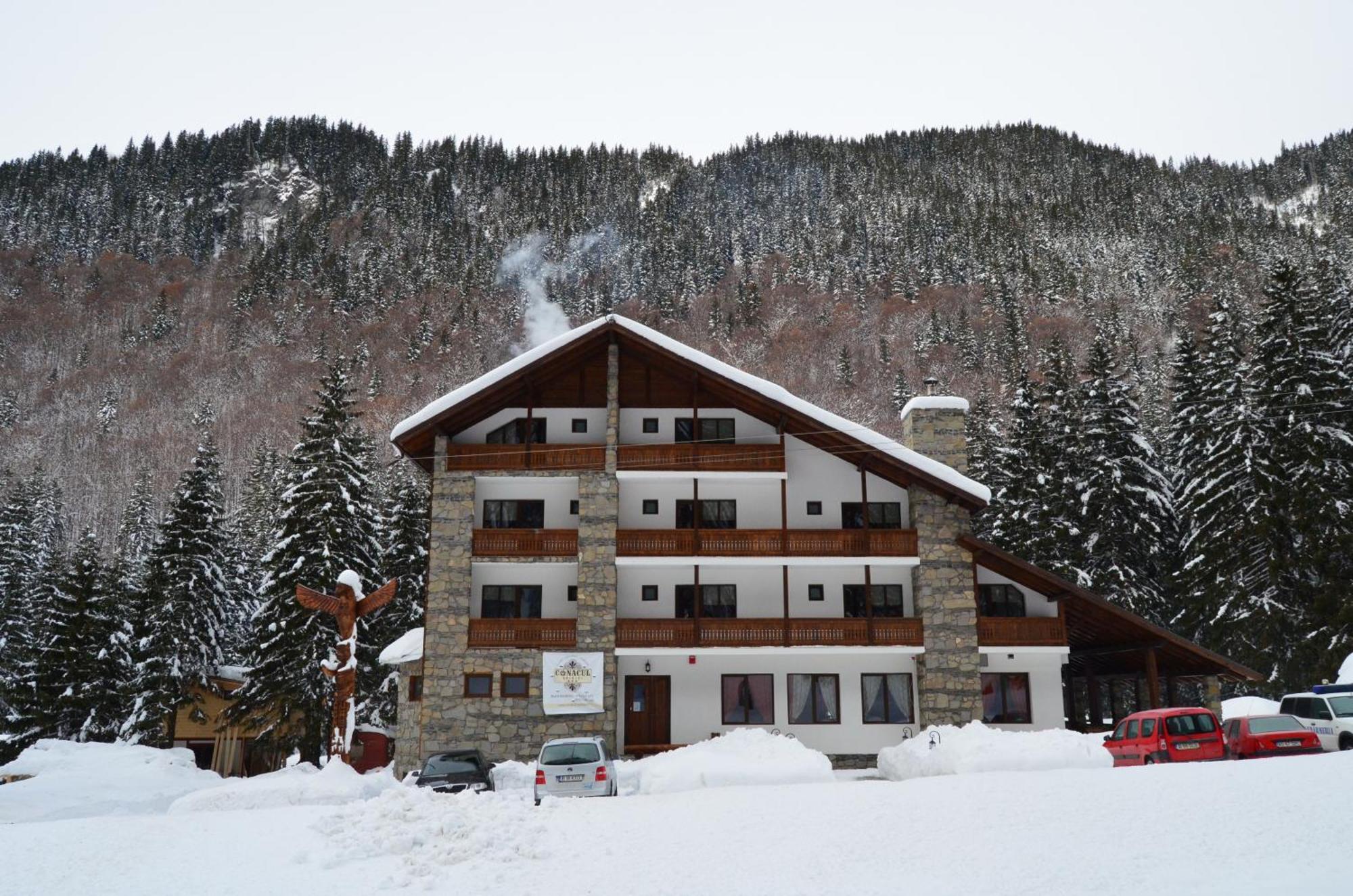 Cabana Conacul Ursului Cumpăna エクステリア 写真